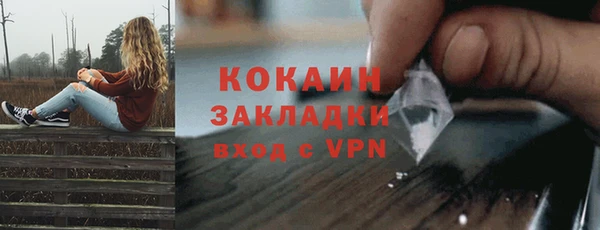 гидра Михайловск