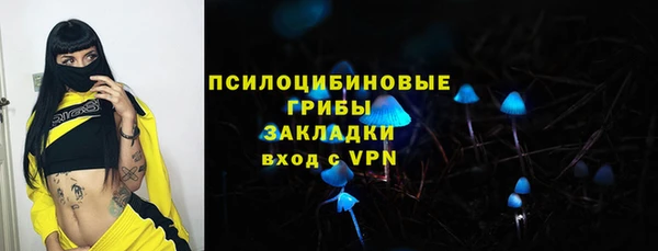 синтетический гашиш Медвежьегорск
