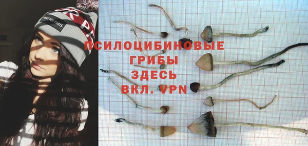 a pvp Мегион