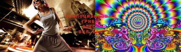 стаф Шадринск